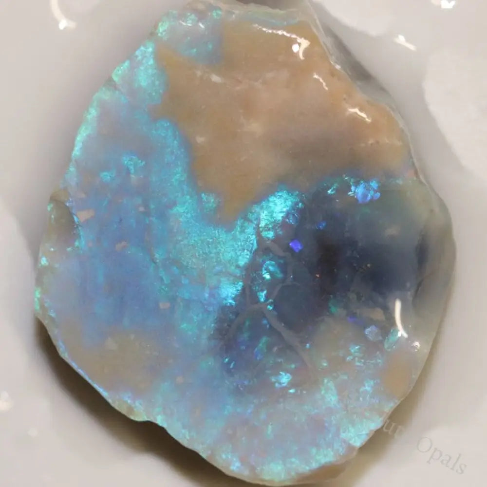 34.65 Cts Single Opal Rough 29.7X25.3X10.2Mm