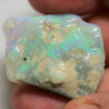 35.1 Cts Australian Rough Opal Lightning Ridge For Carving