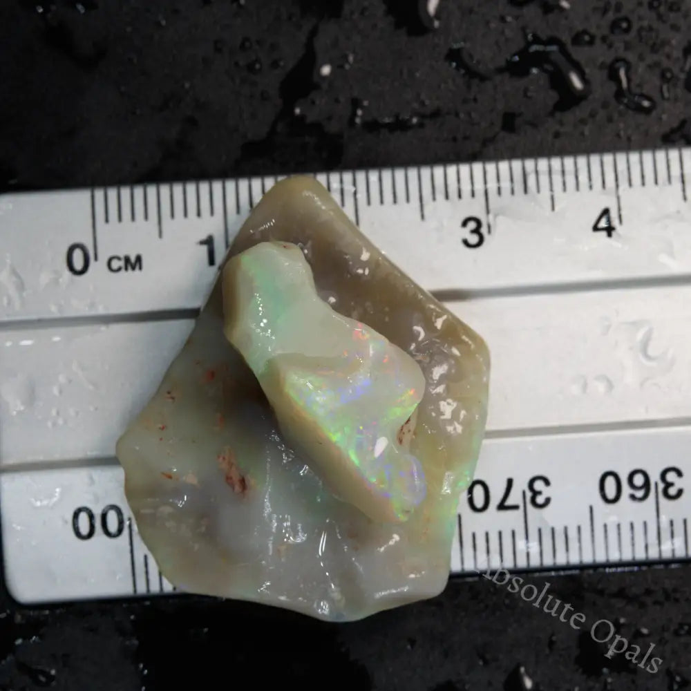 Rough Opal Rubs