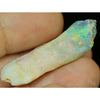 Australian  Opal Rough, Plant Fossil, Gem Stone