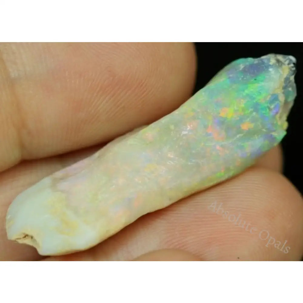 36.3Ct Australian Opal Rough Plant Fossil Gem Stone