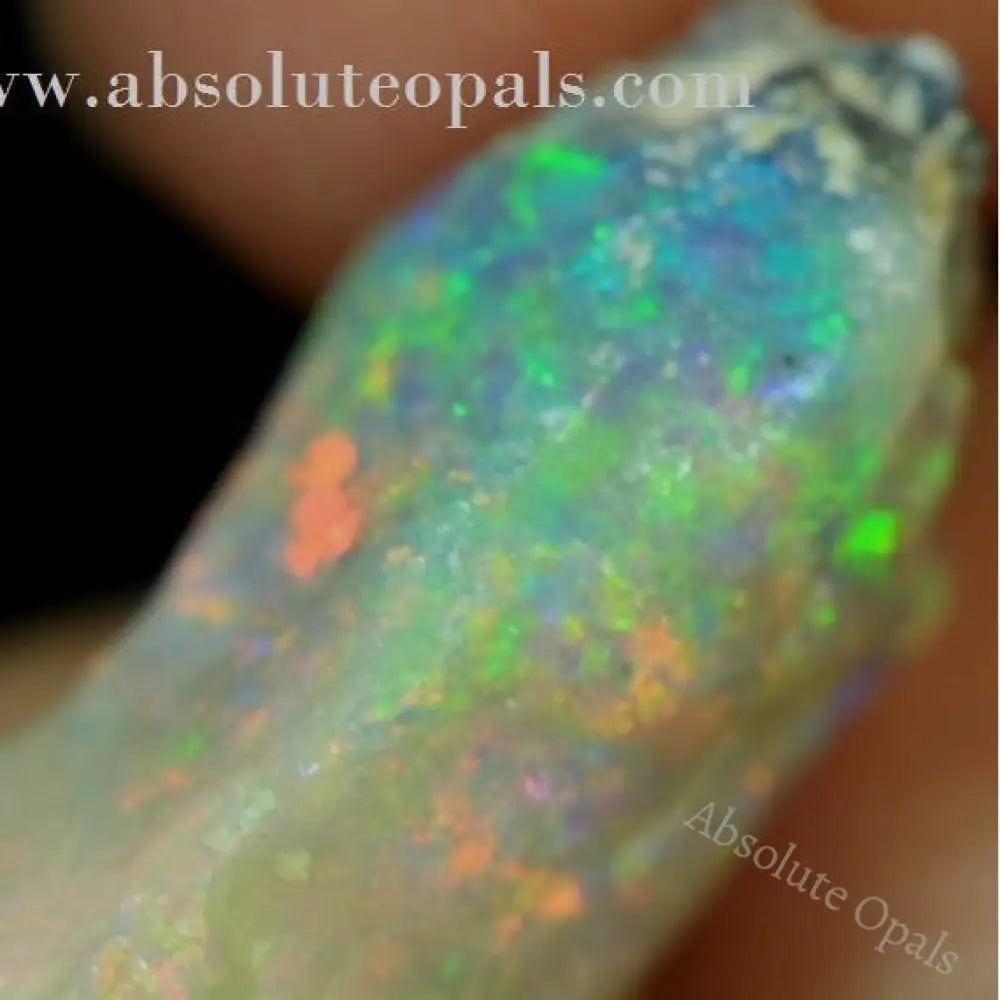 Fossil opal