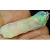 36.3Ct Australian Opal Rough Plant Fossil Gem Stone