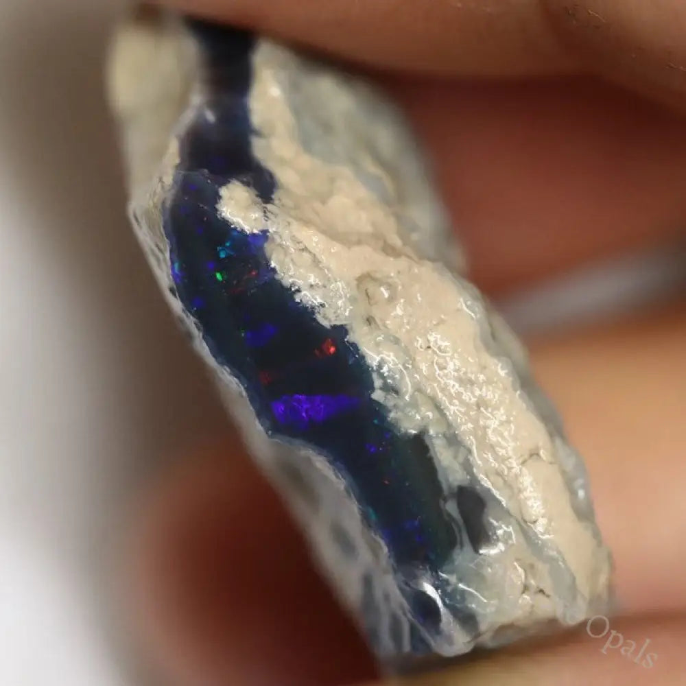 38.80 Cts Australian Lightning Ridge Black Opal Rough For Carving