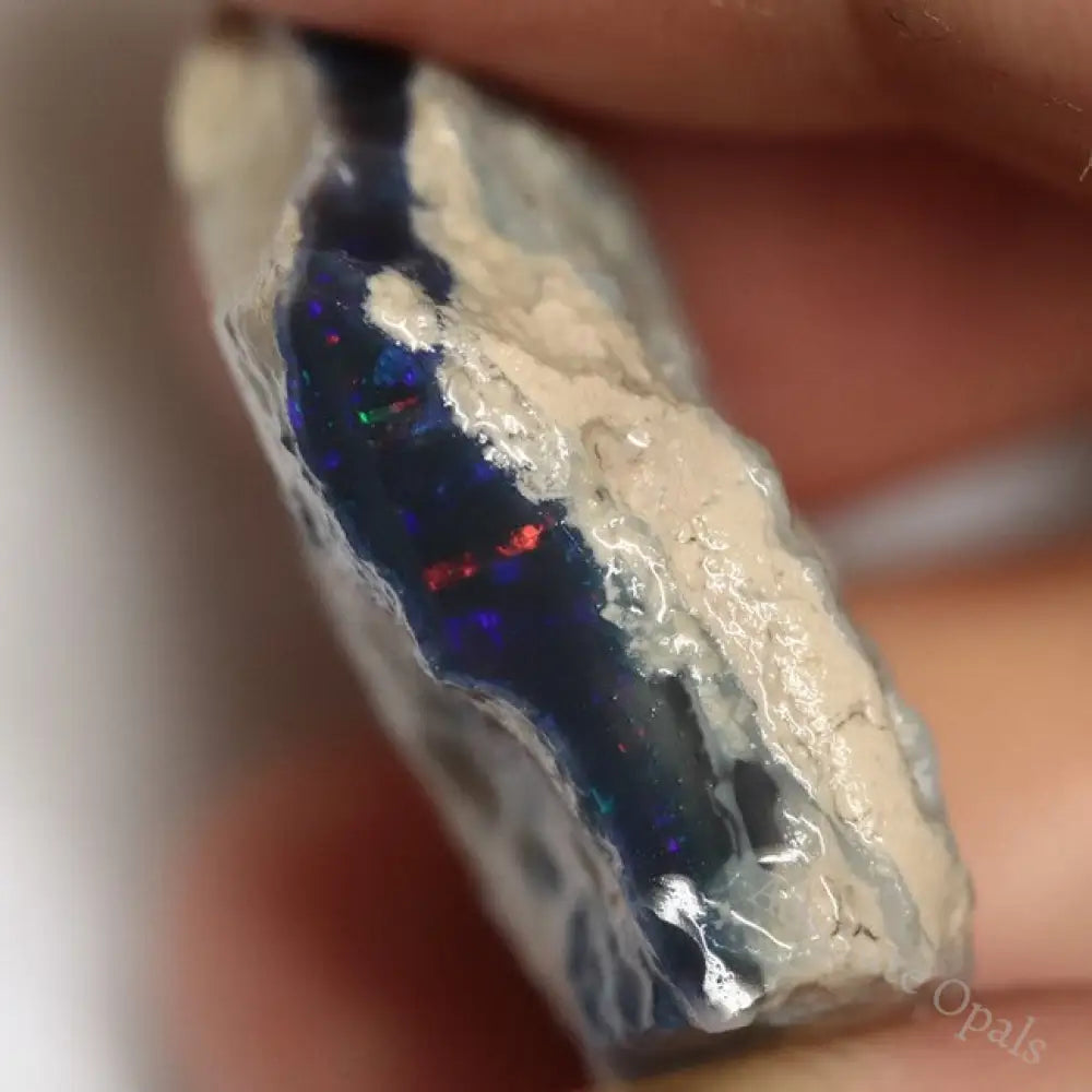 Australian Lightning Ridge Opal Rough for Carving