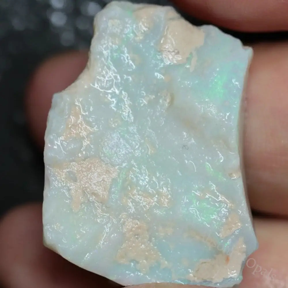 39.20 Cts Single Opal Rough For Carving 30.5X23.2X15.6Mm