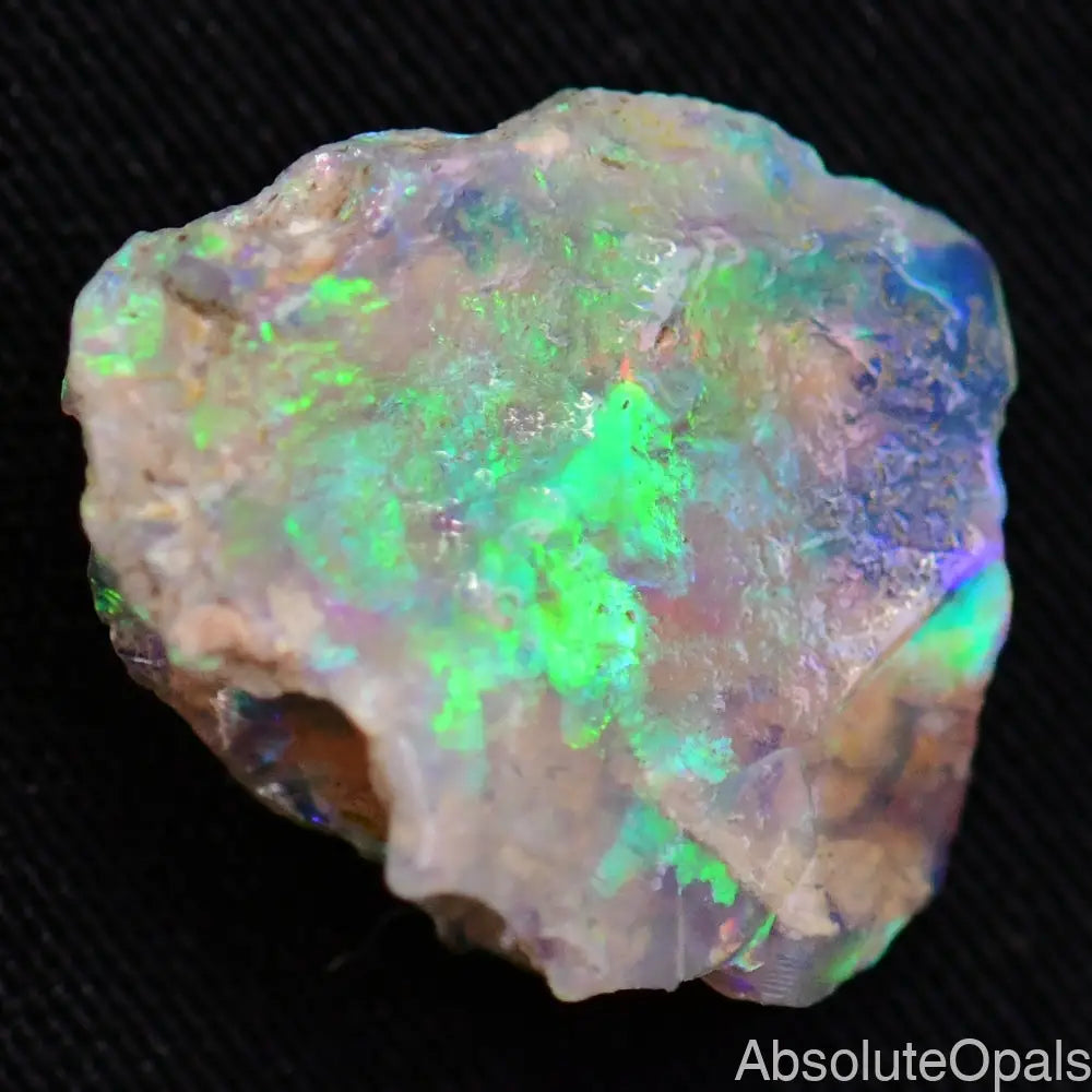 4.74 Cts Australian Opal Rough Lightning Ridge Wood Fossil Polished Specimen
