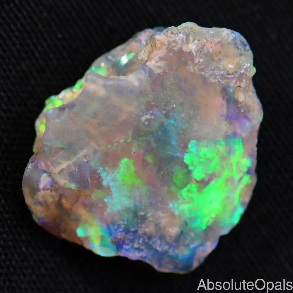 4.74 Cts Australian Opal Rough Lightning Ridge Wood Fossil Polished Specimen