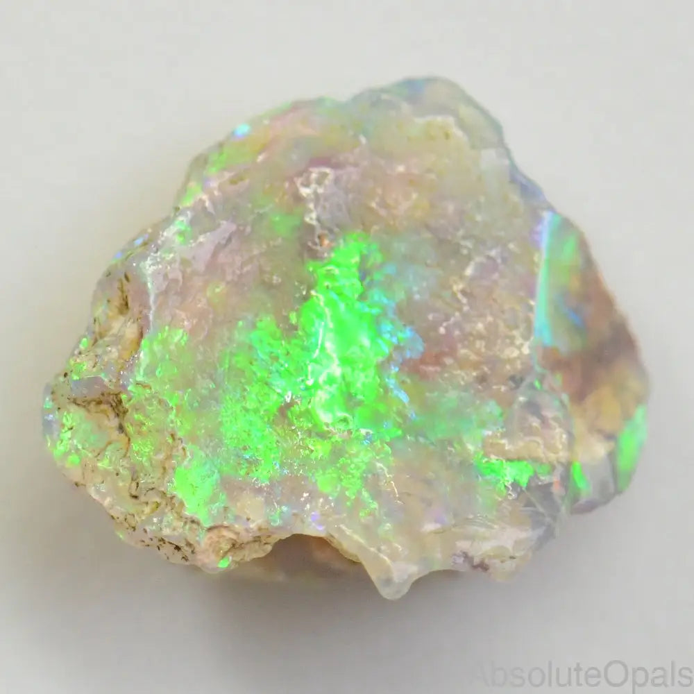 4.74 Cts Australian Opal Rough Lightning Ridge Wood Fossil Polished Specimen