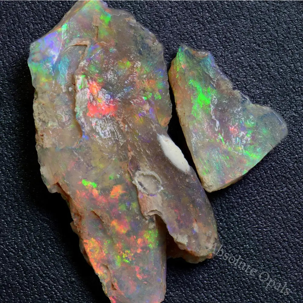 Opal Fossil