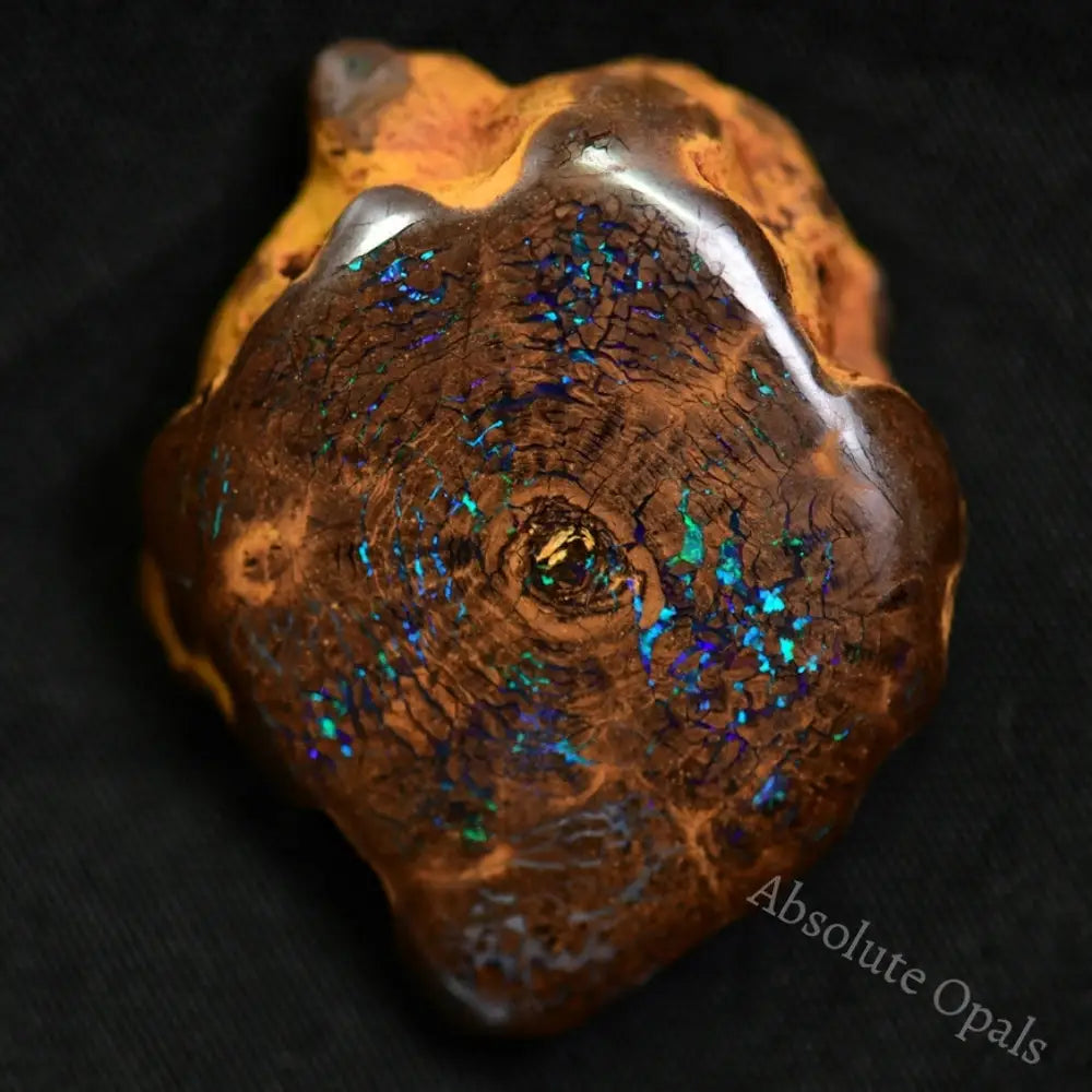 Australian Boulder Opal Rough Specimen