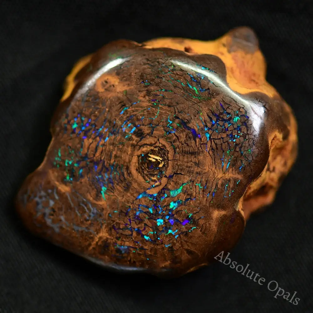 Australian Boulder Opal Rough Specimen