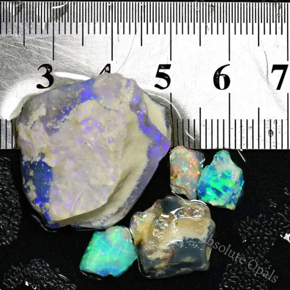 41.75 Cts Australian Rough Opal Parcel Fossils Lightning Ridge