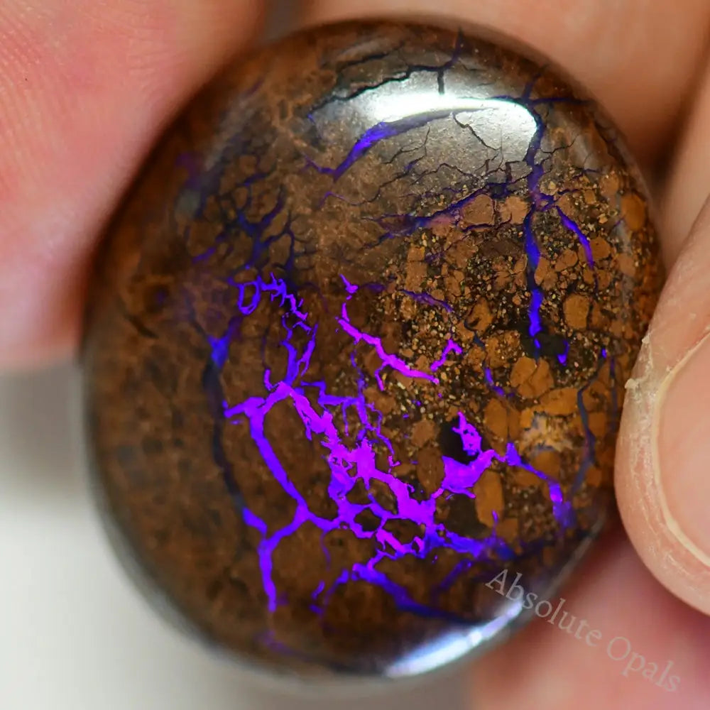 Australian Boulder Opal, Cut Stone