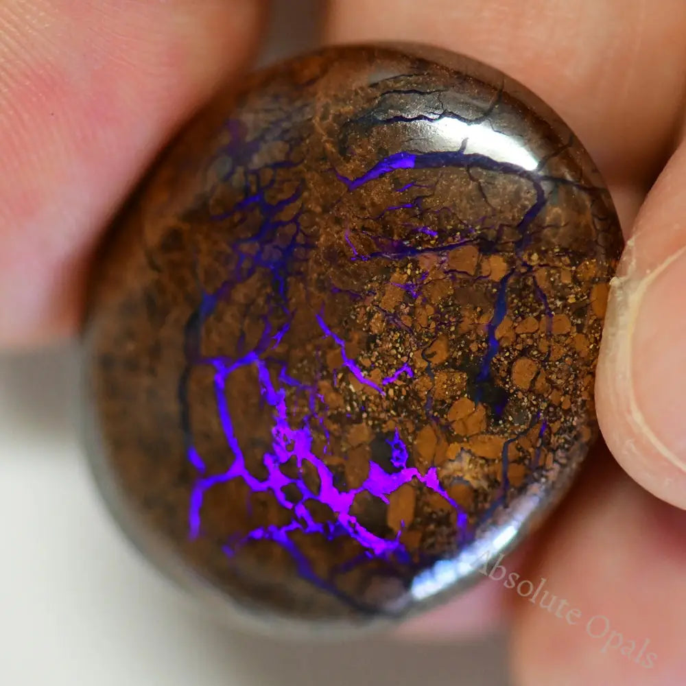 42.5 Cts Australian Boulder Opal Cut Stone
