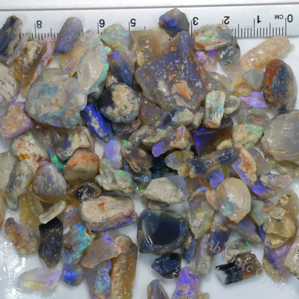 Australian Rough Fossil + Plant Opal Collection Lightning Ridge