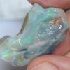 43.55 Cts Single Opal Rough For Carving 35.7X20.4X13.2Mm