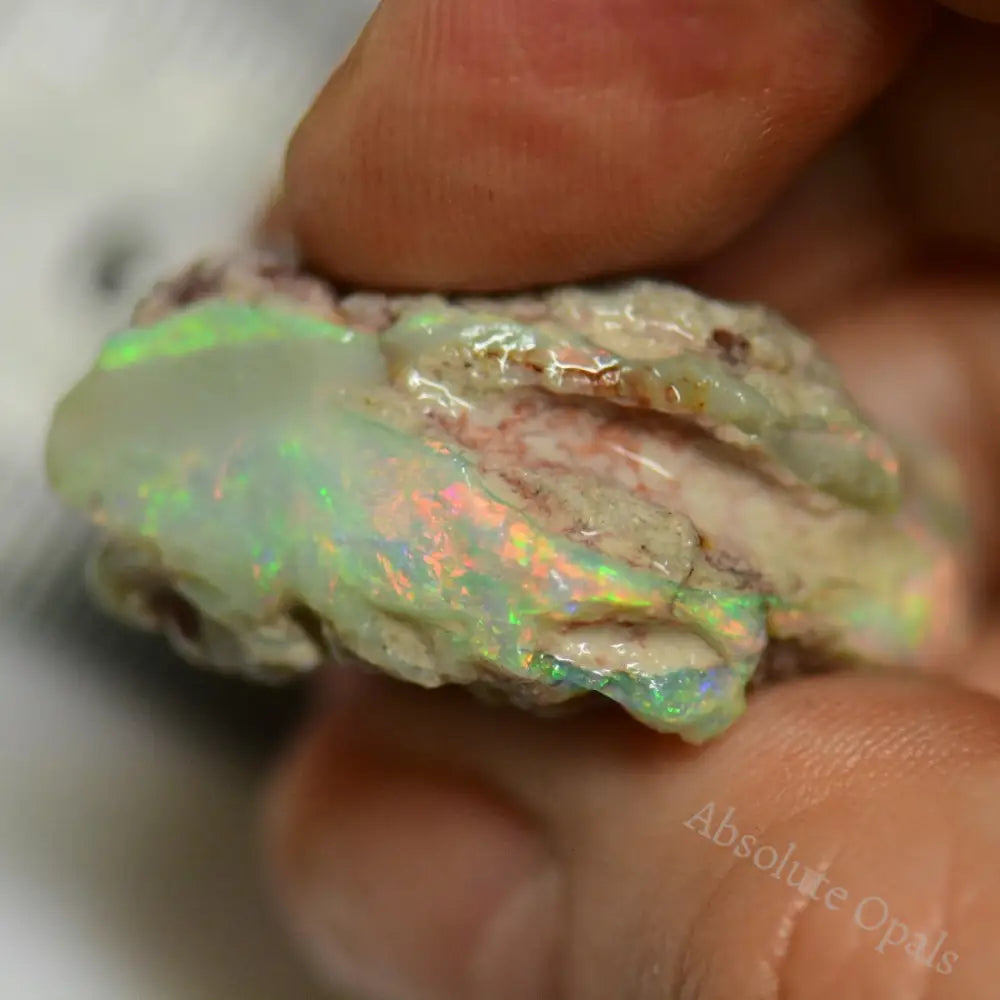 Single Opal Rough for Carving