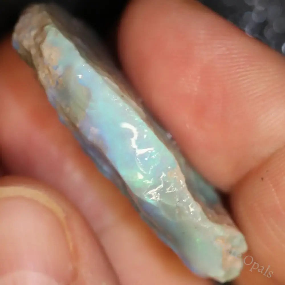 45.95 Cts Australian Lightning Ridge Opal Rough For Carving