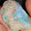 45.95 Cts Australian Lightning Ridge Opal Rough For Carving