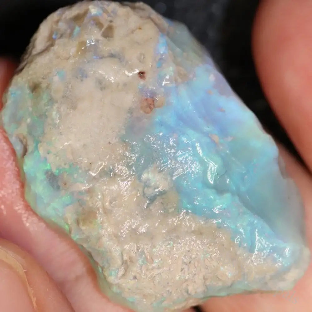 45.95 Cts Australian Lightning Ridge Opal Rough For Carving