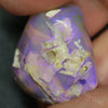 47.0 Cts Australian Opal Rough Lightning Ridge Wood Fossil Polished Specimen