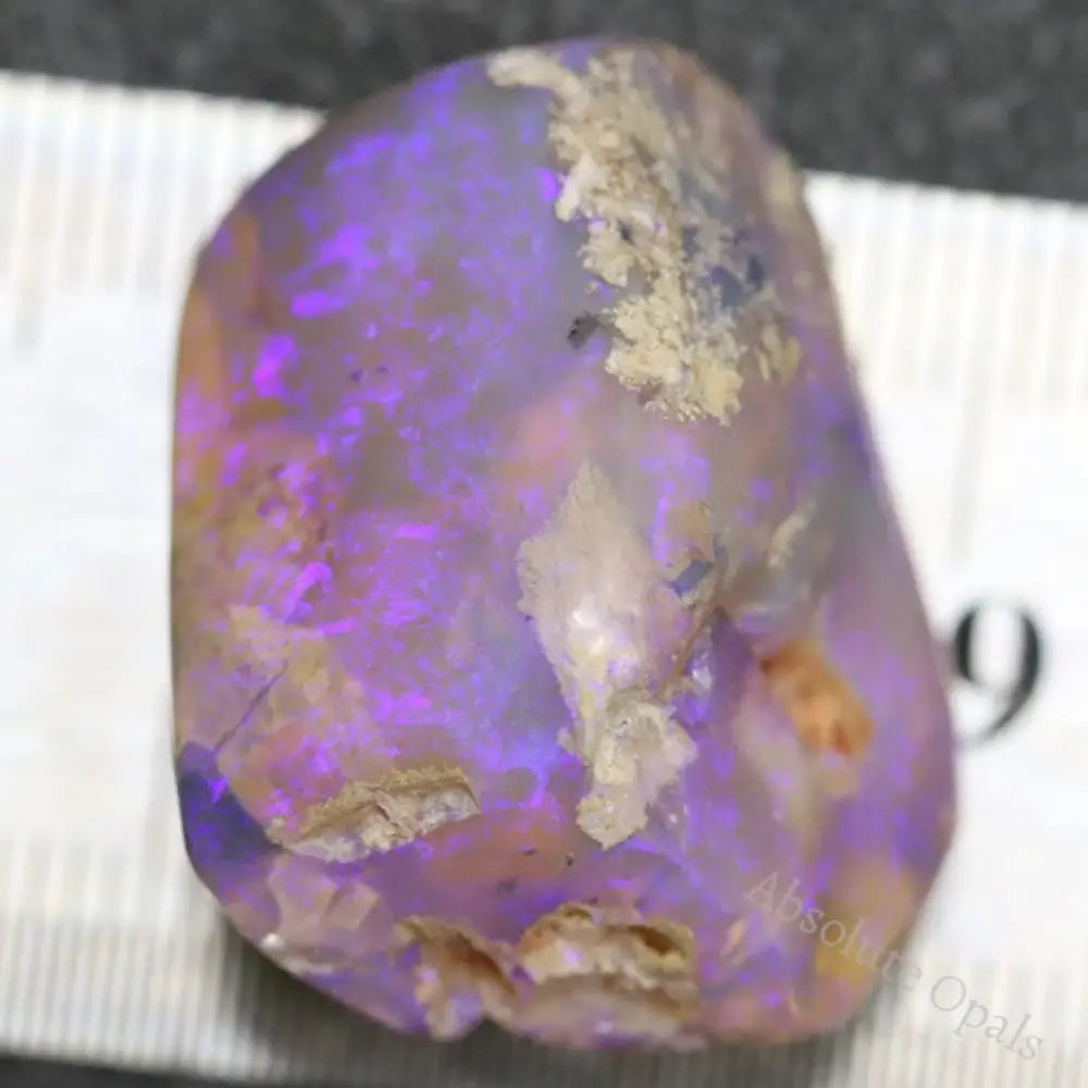 47.0 Cts Australian Opal Rough Lightning Ridge Wood Fossil Polished Specimen