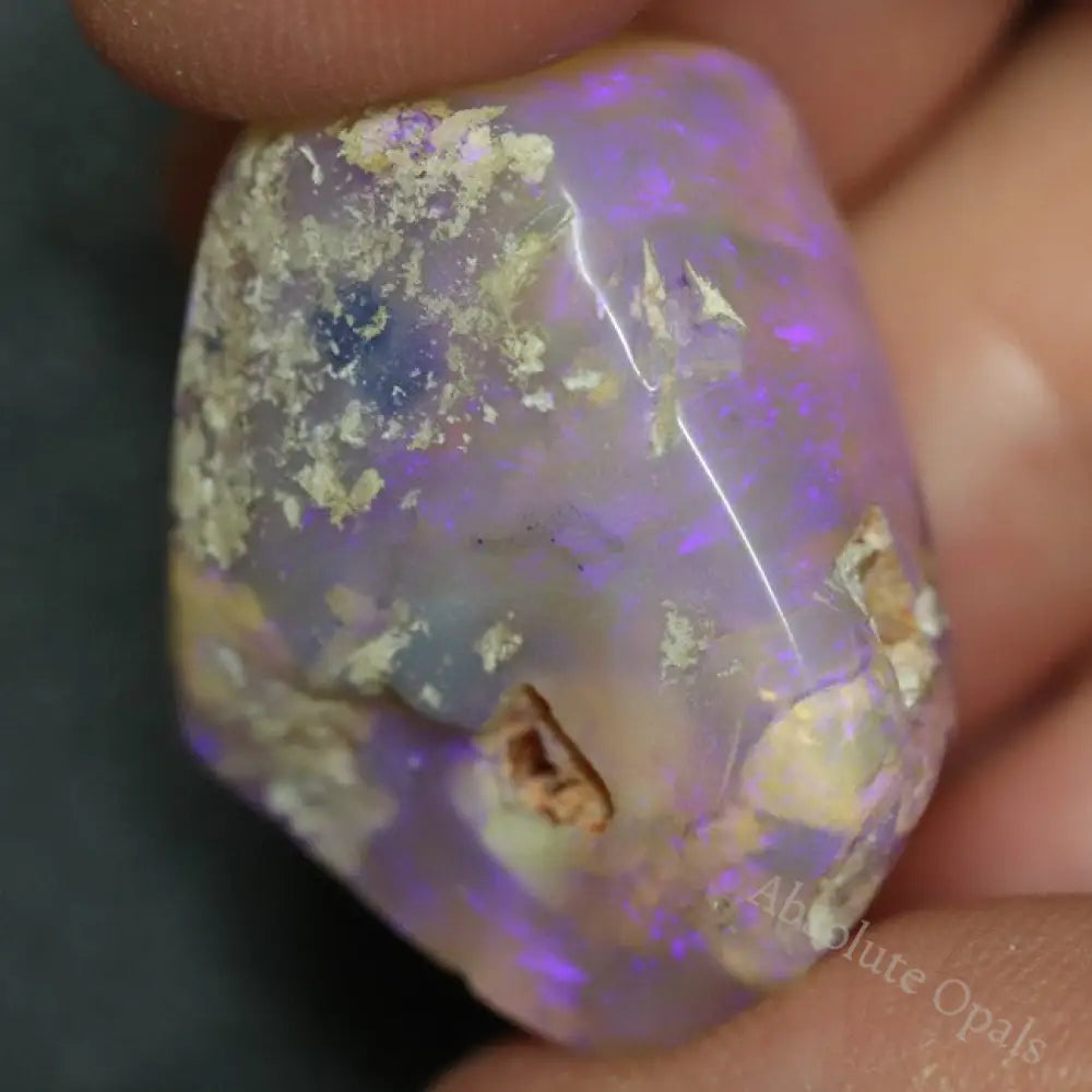 47.0 Cts Australian Opal Rough Lightning Ridge Wood Fossil Polished Specimen