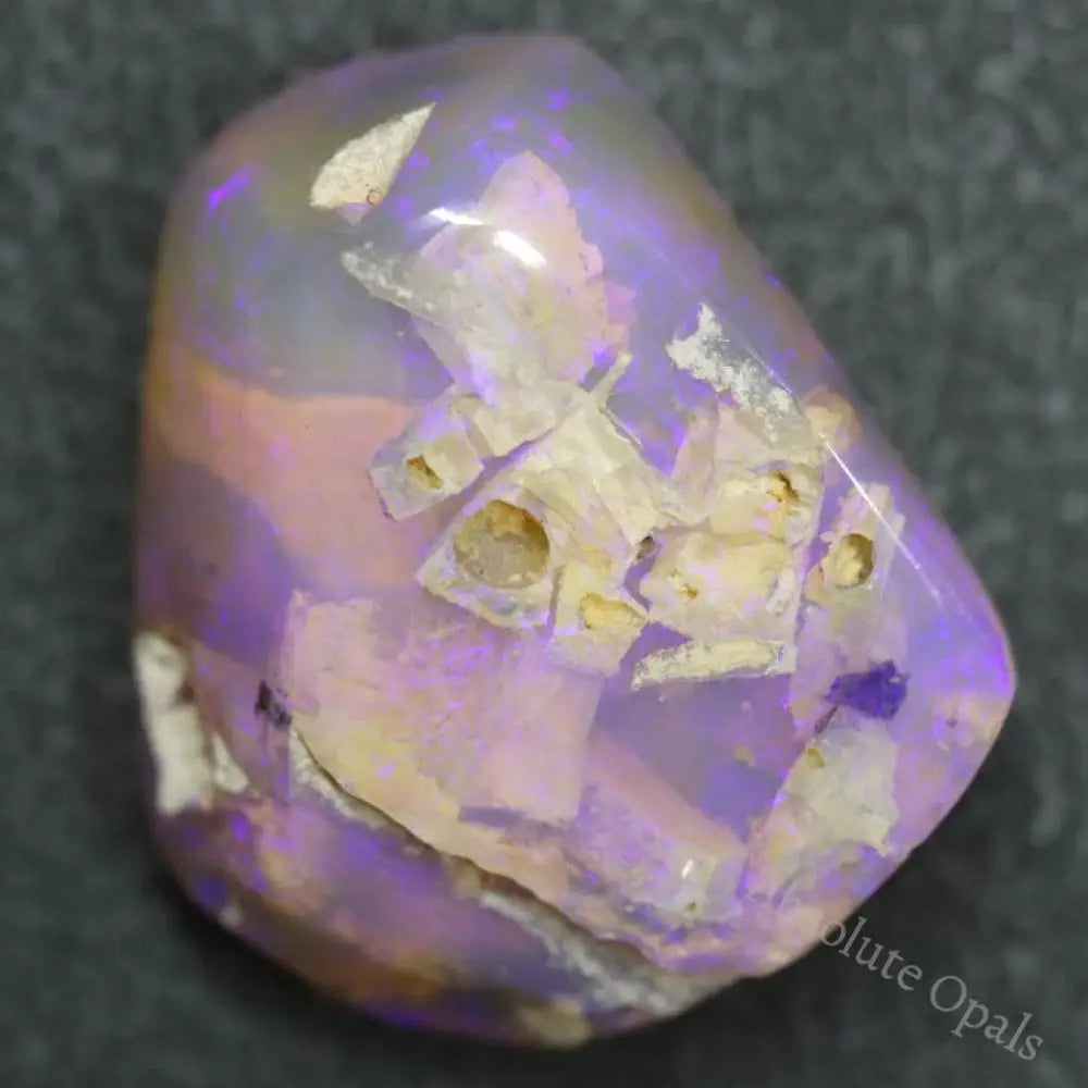 47.0 Cts Australian Opal Rough Lightning Ridge Wood Fossil Polished Specimen