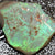 47.0 Cts Single Opal Rough Gem Stone 33.0X25.4X11.0Mm