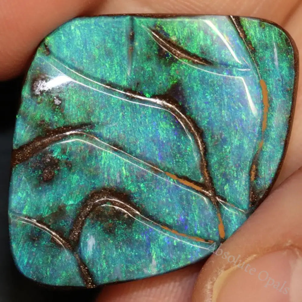 Australian Boulder Opal, Cut Loose Stone