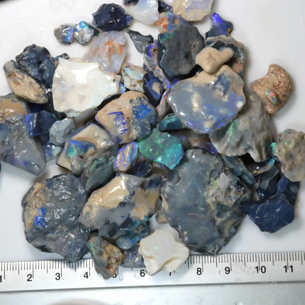 Rough Black Opal Parcel from Lightning Ridge with potch and color