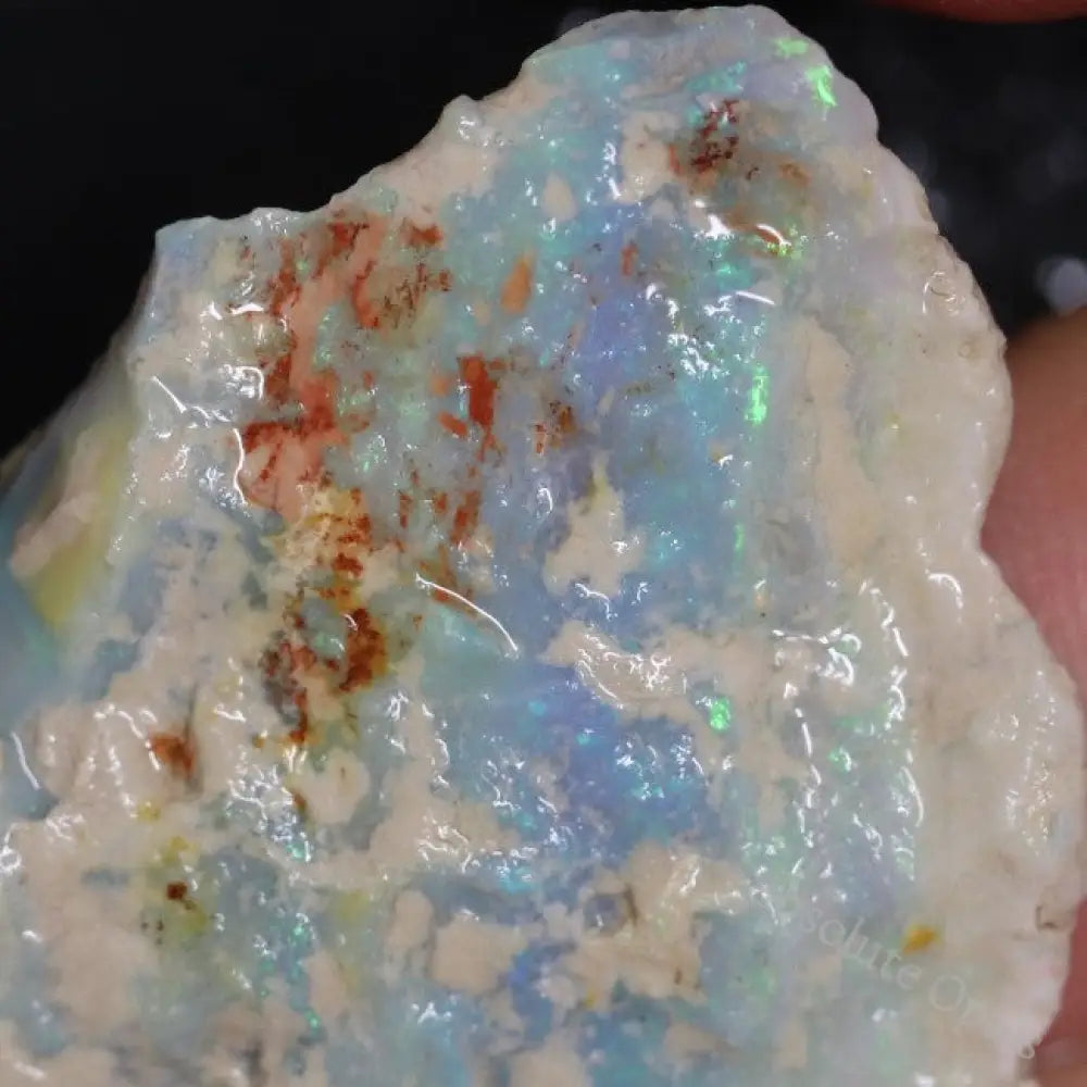 48.95 Cts Australian Lightning Ridge Opal Rough For Carving