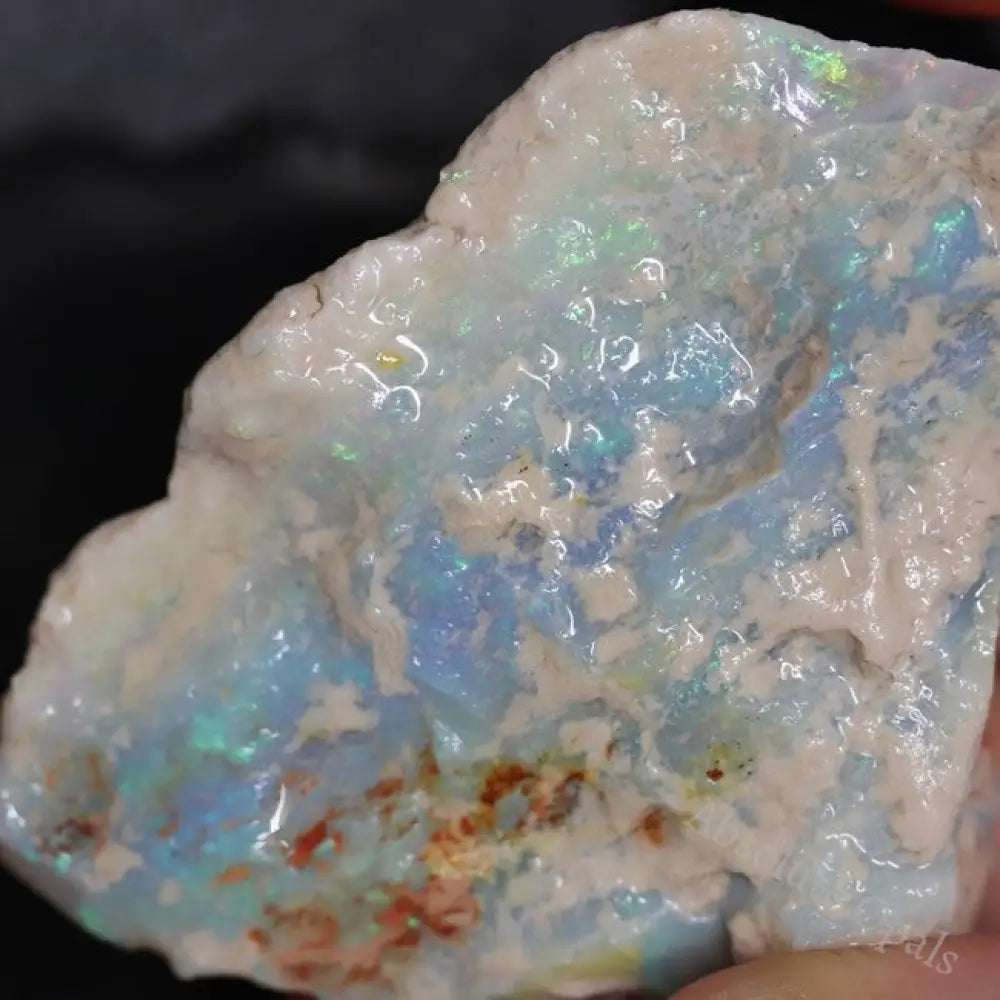 48.95 Cts Australian Lightning Ridge Opal Rough For Carving