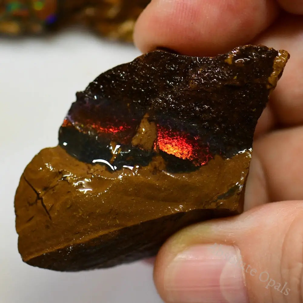 Australian Boulder Opal Rough Parcel