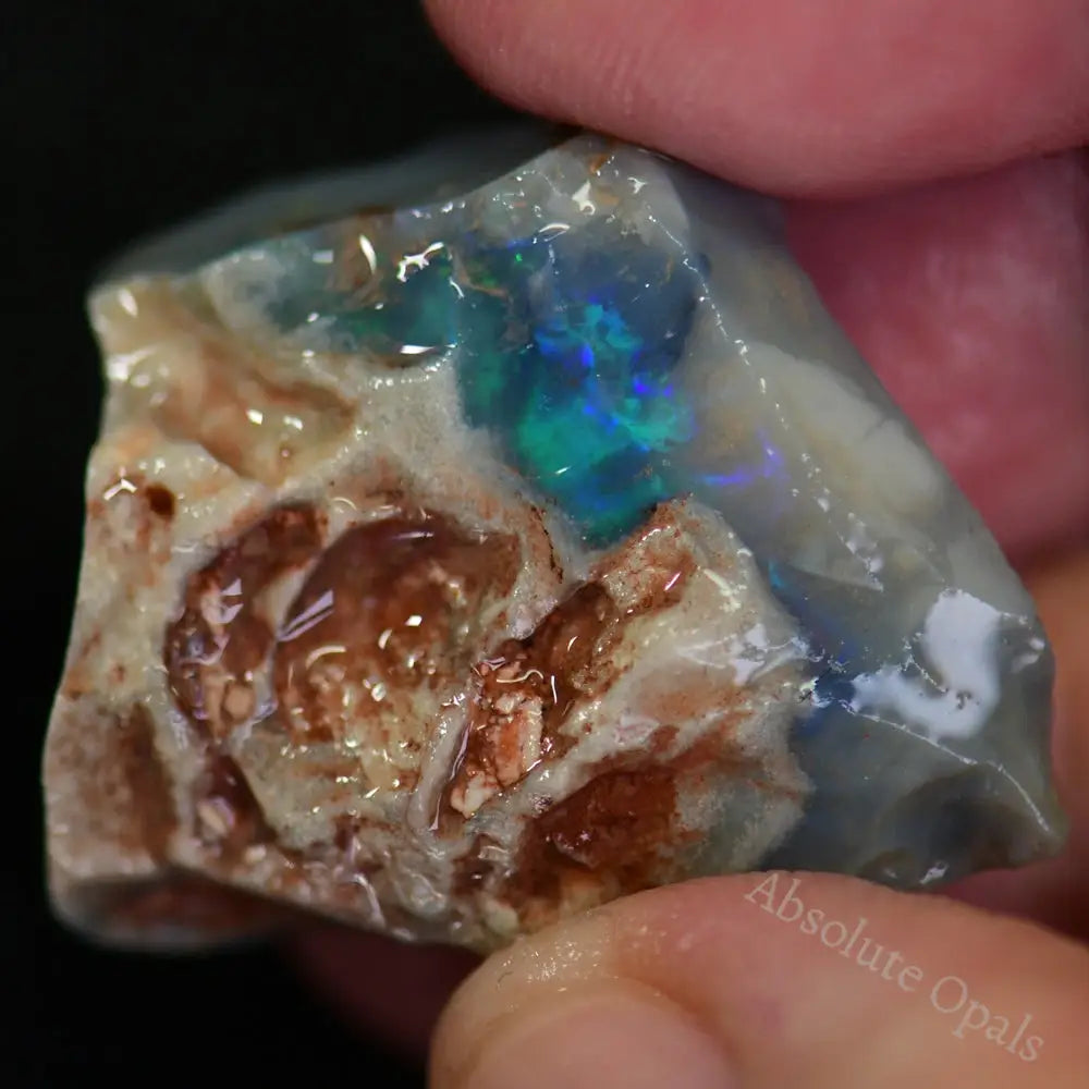  Rough OPAL