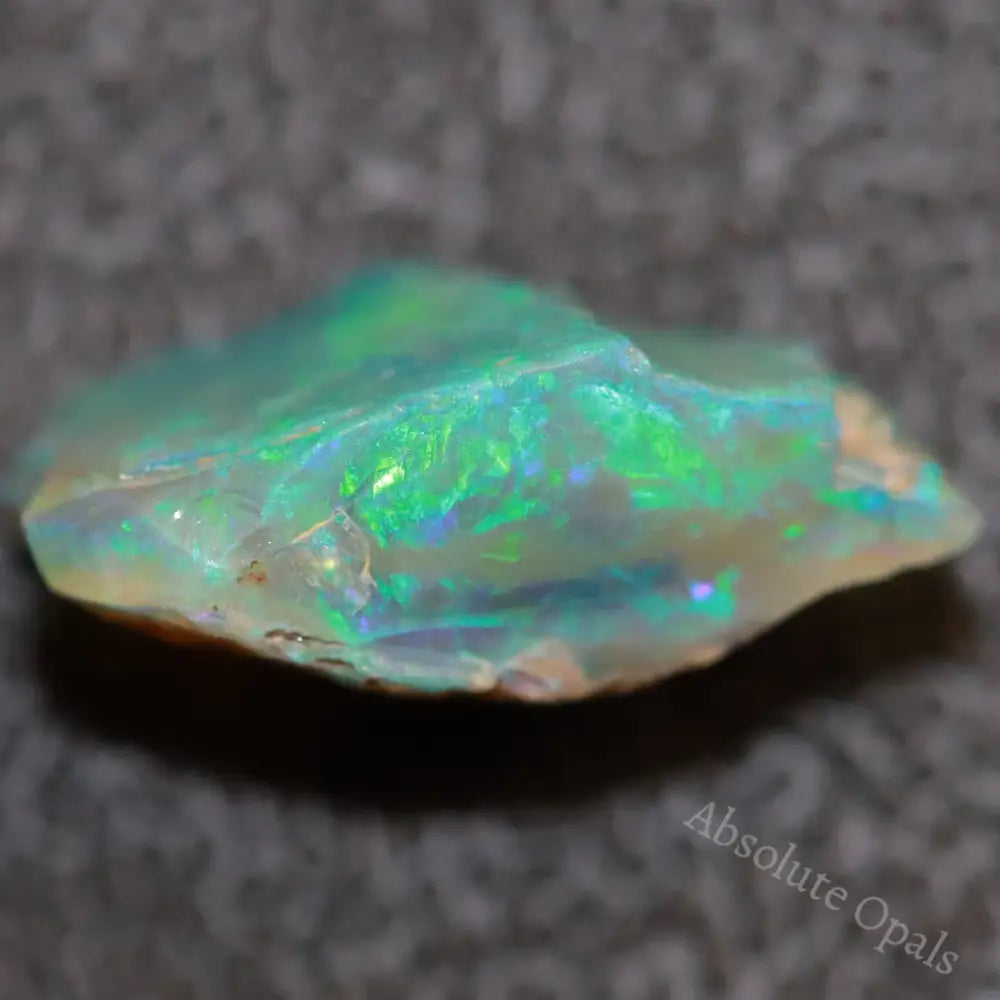 5.39 Cts Australian Opal Rough Lightning Ridge Wood Fossil Polished Specimen