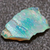 5.39 Cts Australian Opal Rough Lightning Ridge Wood Fossil Polished Specimen