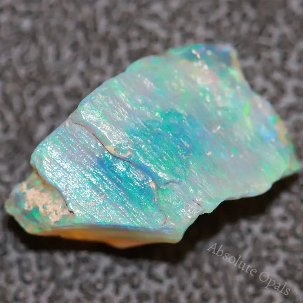 5.39 Cts Australian Opal Rough Lightning Ridge Wood Fossil Polished Specimen