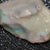 Australian Lightning Ridge, Opal Rough for Carving