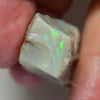 51.50 Cts Australian Rough Opal For Carving Lightning Ridge