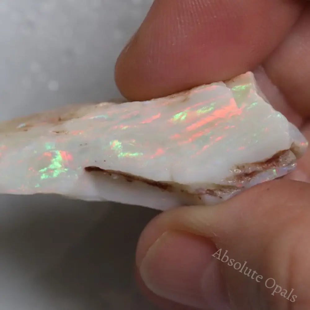 52.25 Cts Australian Semi-Black Opal Rough Lightning Ridge Gem Stone