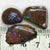 Australian Boulder Opal Rough Parcel