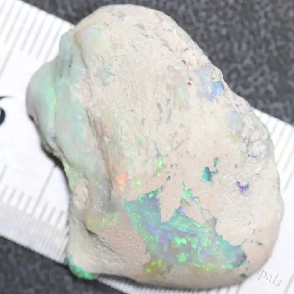 54.40 Cts Australian Semi Black Opal Rough Lightning Ridge Polished Specimen