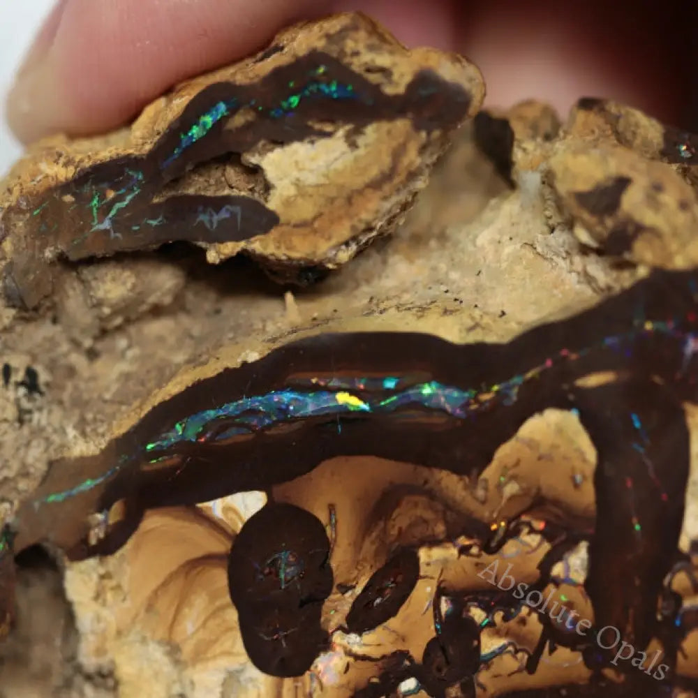 540 Cts Australian Boulder Opal Rough- Specimen Rough