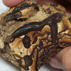 540 Cts Australian Boulder Opal Rough- Specimen Rough