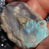 55.80 Cts Australian Lightning Ridge Opal Rough For Carving