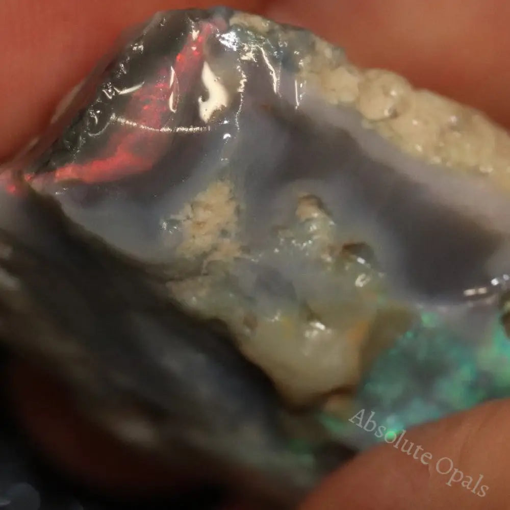 55.80 Cts Australian Lightning Ridge Opal Rough For Carving