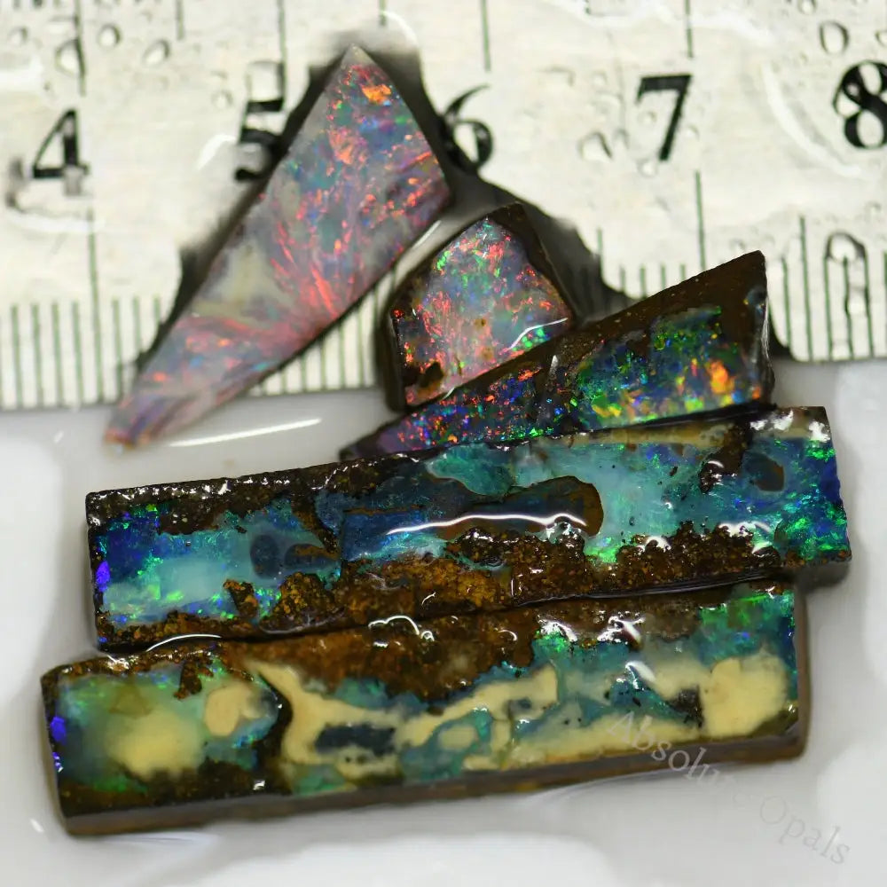 Australian Boulder Opal Rough Parcel