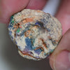 58.6 Cts Australian Opal Rough Lightning Ridge Fossil Branch Wood